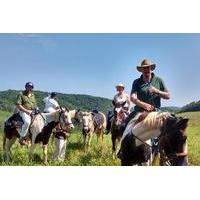 Horseback Riding on an Equestrian Farm in San Ignacio