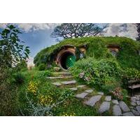 Hobbiton, Ruakuri Cave and Kiwi House Deluxe Tour from Auckland