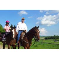 Horseback Riding in Lacombe, Alberta