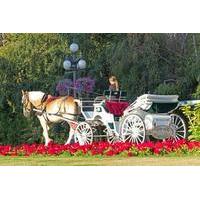Horse-Drawn Carriage Tour of Beacon Hill Park
