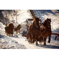Horse Sleigh Ride in Polish Countryside
