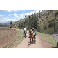 Horseback Riding Cusco: Experience the Peruvian Paso Horses