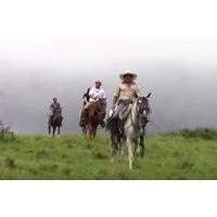 Horseback Riding, Zipline and Hot Springs Tour in Guanacaste
