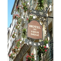 Hotel du Vieux Saule