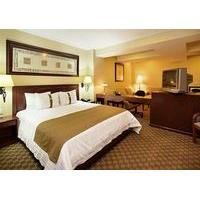 Holiday Inn Suites Zona Rosa