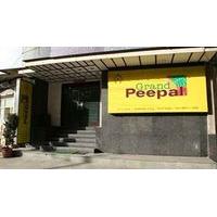 Hotel Grand Peepal