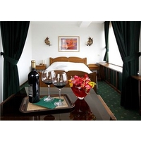Hotel Hunter\'s Lodge Kamnik