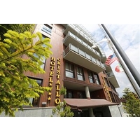 Hotel Cristallo