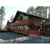 honey bear lodge cabins