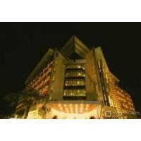 HOTEL BIBIONE PALACE