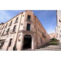 Hotel Posada de la Moneda