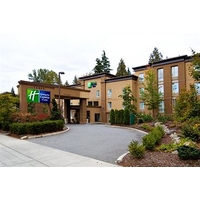 holiday inn express hotel suites surrey