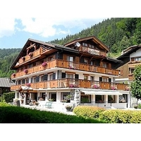 Hotel Alpina