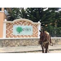 Hotel Los Cedros de Uayamon