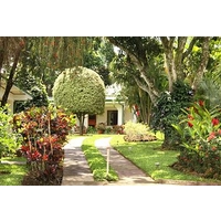 Hotel La Rosa de America