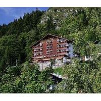 Hotel le Grand Chalet