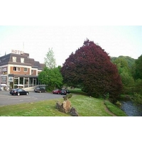 Hotel Stadt Marsberg
