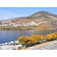 Hotel Folgosa Douro