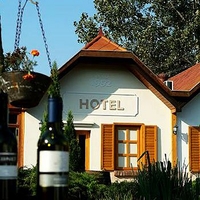 Hotel Vineyard Inn