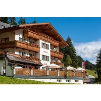 Hotel Almhof Roswitha