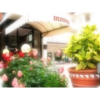 Hotel Rubino