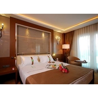 Holiday Inn Ankara - Kavaklidere