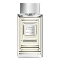 Hommage A L\' Homme 100 ml EDT Spray