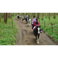 Horse Riding and a Picnic