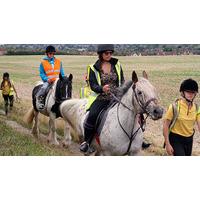 Horse Riding in Bedfordshire for Two