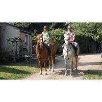 Horse Riding in East Sussex