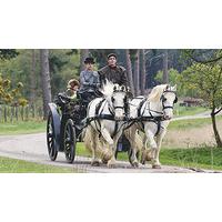 Horse Drawn Carriage Ride with a Picnic and Champagne for Two