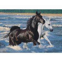 Horses at The Seaside, 1500pc Jigsaw Puzzle