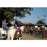Horse Riding Introduction