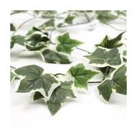 Holland Ivy Garland 176 cm