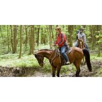 Horse Riding - Full Day Trails
