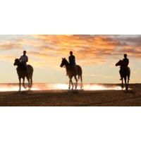 horse riding on the beach