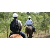 Horse Riding for Two