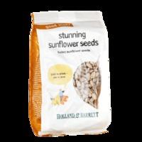 Holland & Barrett Stunning Sunflower Seeds 125g