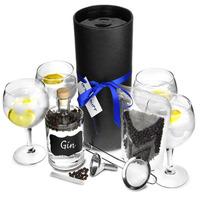 Home Gin Making Kit with Gin Balloon Glasses