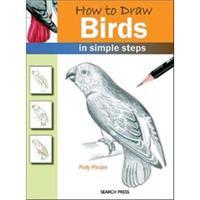 how to draw birds 246541