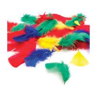 Hobbycraft Pack of Fantasy Feathers