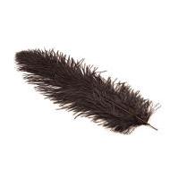 Hobbycraft Ostrich Feather Black Large