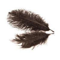 Hobbycraft Small Ostrich Feathers In Black x 2