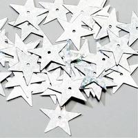 Holographic Sequins Stars 25g - Silver