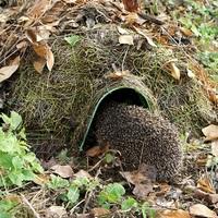 Hogitat Hedgehog Home