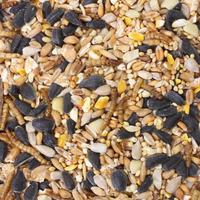 Honeyfields Insect Mealworm Feast