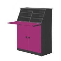 Hobby Graphite Desk with Fuschia