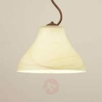 Homely hanging light Mattia