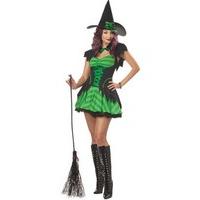 Hocus Pocus Witch Halloween Costume - Medium