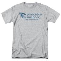 House - Princeton Plainsboro